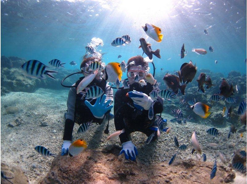 【沖縄・本部、水納島・瀬底島】手ぶらで集合　体験ダイビング　半日いっぱい遊べる2dive　の紹介画像