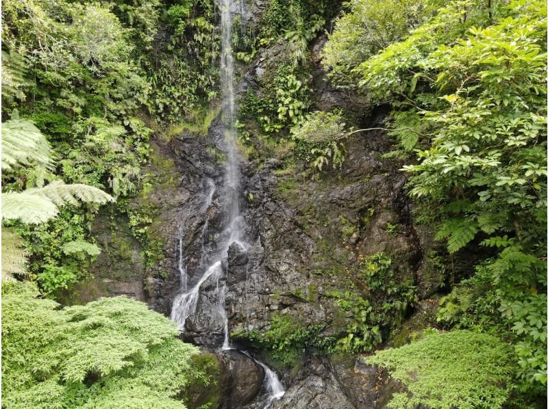 【奄美大島】離島でのんびり★贅沢加計呂麻1日ツアー★【送迎、お弁当、ナイトツアー、シュノーケル付】口コミ投稿で撮影データプレゼント！の紹介画像