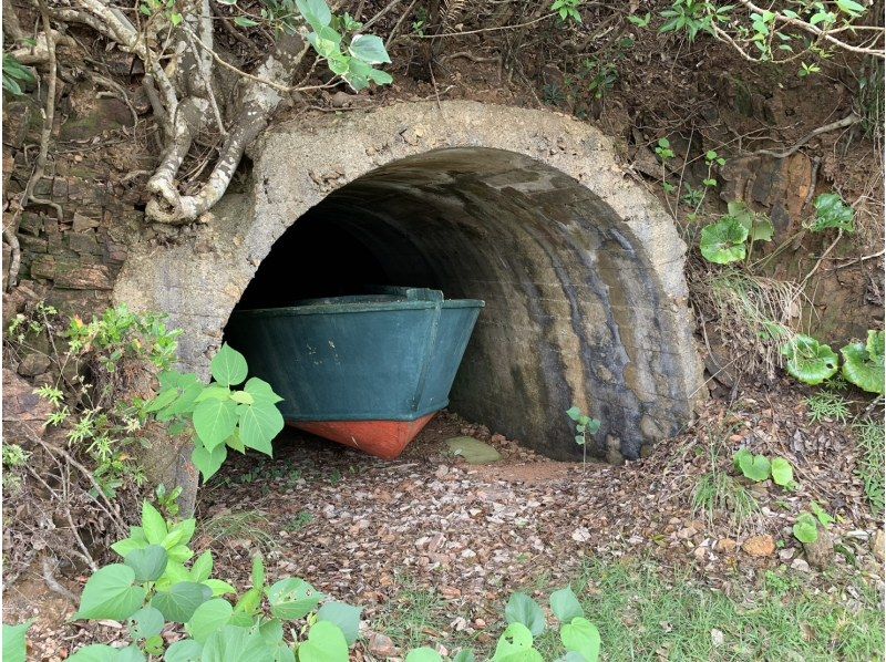 【奄美大島】離島でのんびり★贅沢加計呂麻1日ツアー★【送迎、お弁当、ナイトツアー、シュノーケル付】口コミ投稿で撮影データプレゼント！の紹介画像