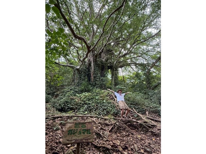 【奄美大島】離島でのんびり★贅沢加計呂麻1日ツアー★【送迎、お弁当、ナイトツアー、シュノーケル付】口コミ投稿で撮影データプレゼント！の紹介画像