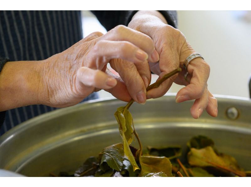 [Yokote City, Akita Prefecture] Make your own sustainable handkerchief dyed with pruned apple tree branches and leaves ★ Tea time includedの紹介画像
