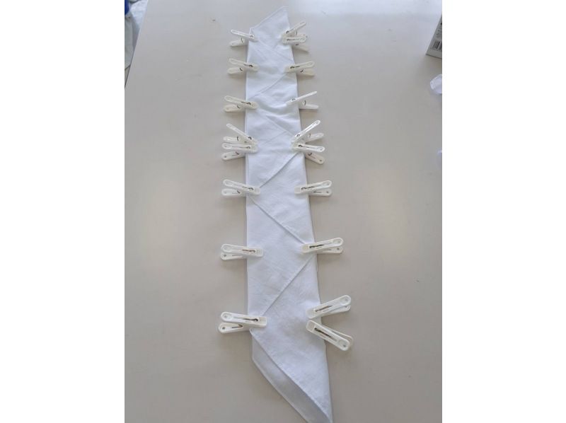 [Yokote City, Akita Prefecture] Make your own sustainable handkerchief dyed with pruned apple tree branches and leaves ★ Tea time includedの紹介画像