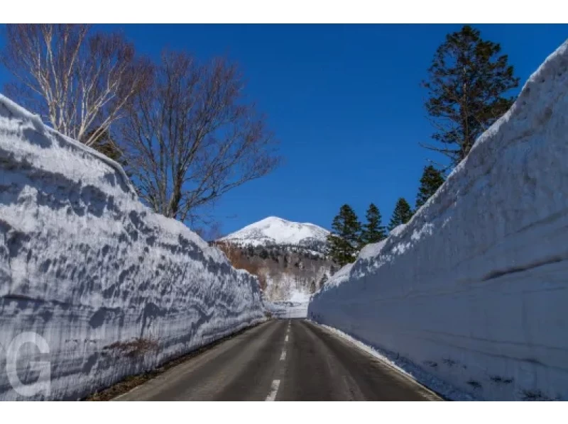 [Aomori / Hakkoda] Spring Hakkoda Snow Corridor Taxi Sightseeing Tourの紹介画像