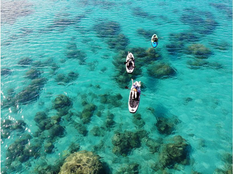 奄美大島【当日予約可能】SUP（60分）※ドローン空撮等写真の無料プレゼントあり※お1人様もお任せ下さい☆の紹介画像