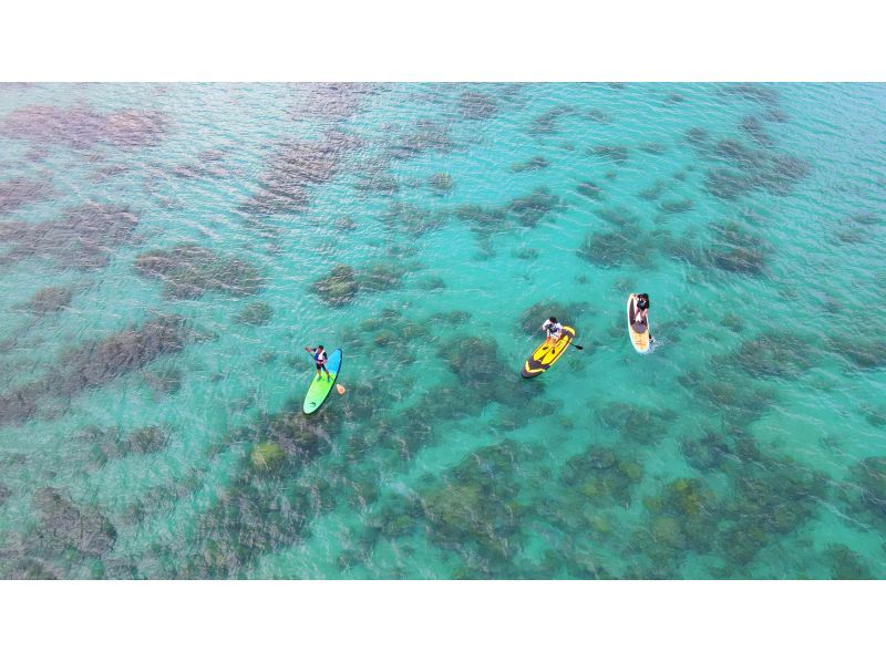 奄美大島【当日予約可能】SUP（60分）※ドローン空撮、GoPro動画、水中カメラで撮影写真の無料プレゼントあり※お1人様もお任せ下さい☆の紹介画像