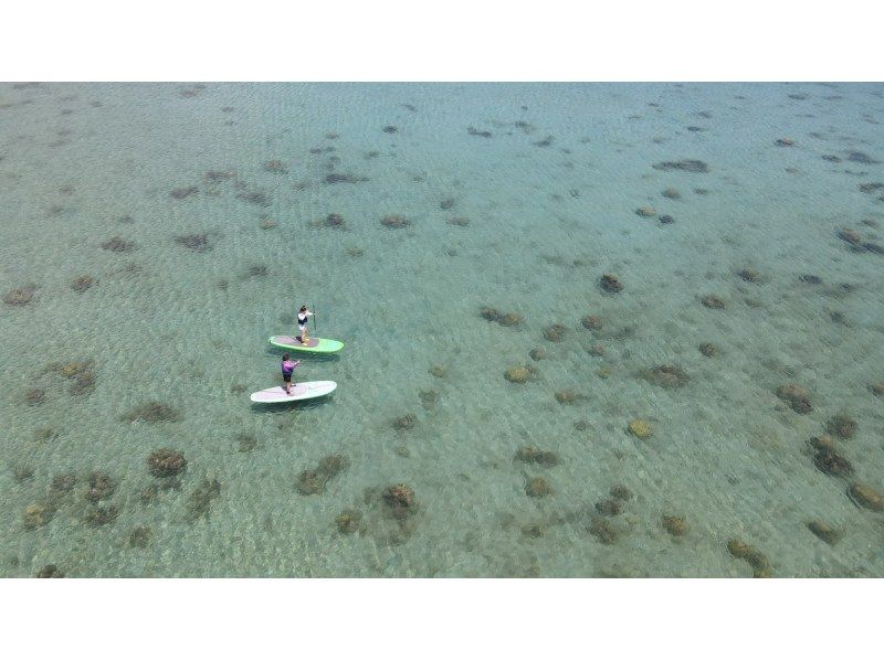 奄美大島【当日予約可能】SUP＆ナイトツアー（120分）【お得なセットプラン】☆ドローン空撮等写真の無料プレゼントあり☆の紹介画像