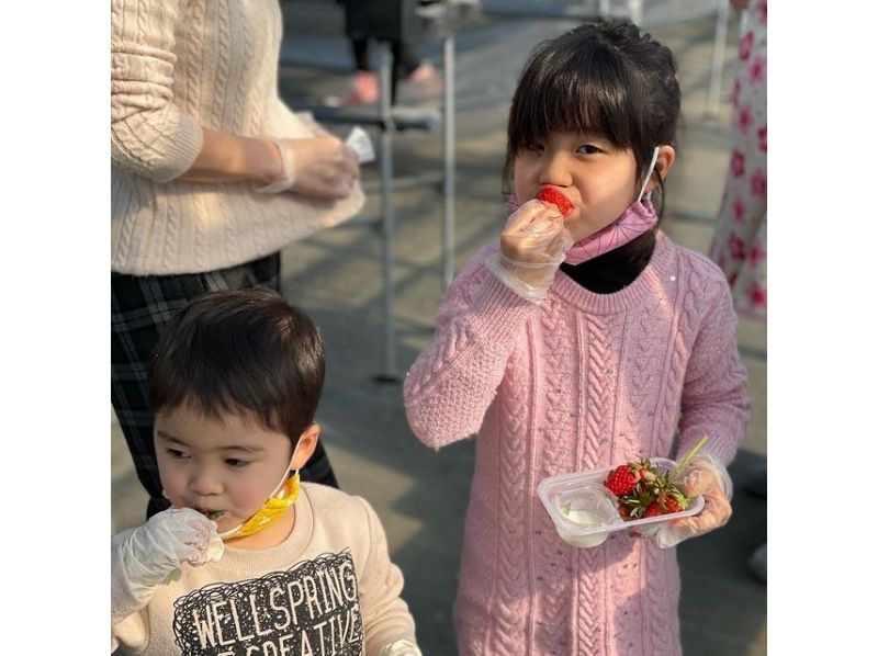 【神奈川・厚木】いちご狩り｜食べ放題｜30分｜ファミリー・カップルにおすすめ｜11月末より開催！の紹介画像