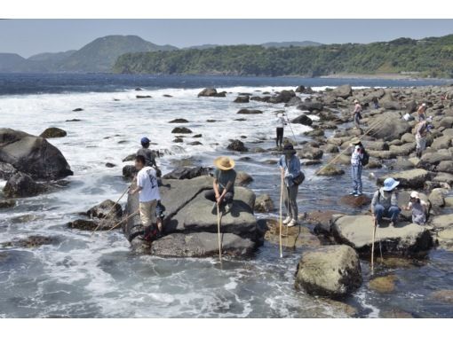 Shizuoka Prefecture, Izu Inatori] Crab fishing, a traditional fishing method  that has been handed down from ancient times in Izu Inatori! Enjoy  bargaining with crabs