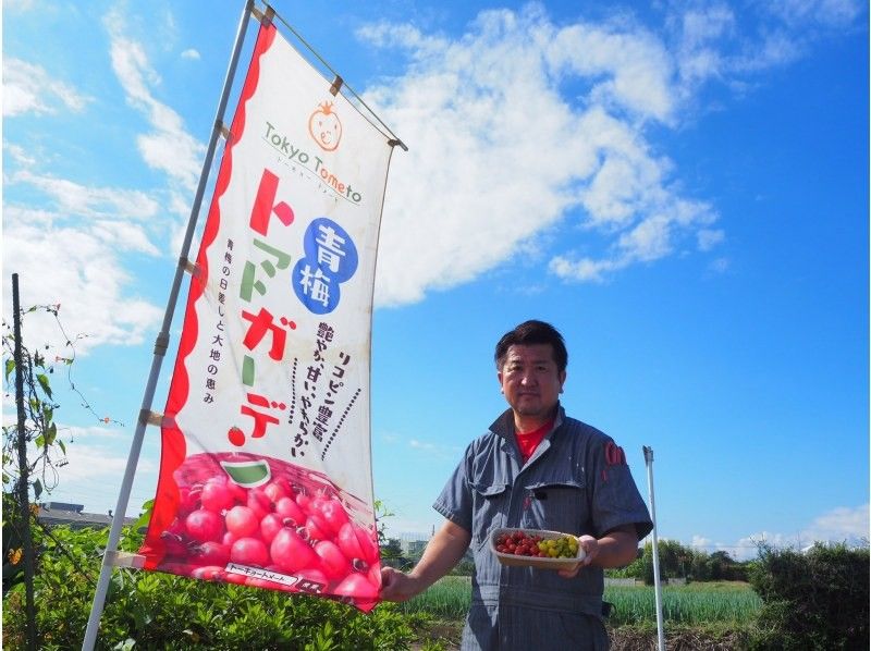 [Ome, Tokyo] Tokyo Tomate ☆ Agricultural experience program where you can learn about the growth of vegetables All 3 times-with a nice souvenir-の紹介画像