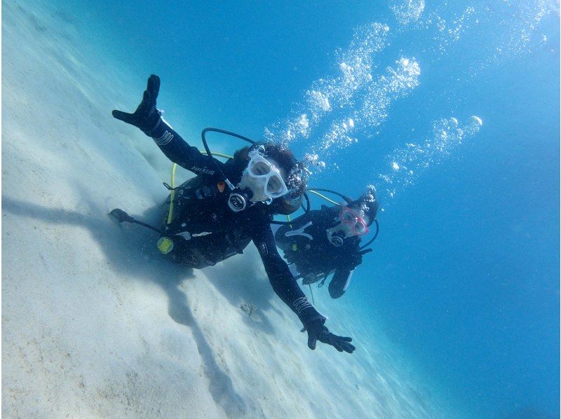 ダイビングショップ　ルプラの最新写真