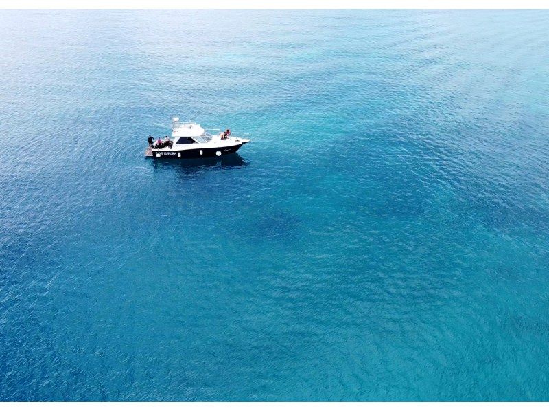 【鹿児島・奄美大島】クルーザーボートで行く体験ダイビング。水中写真プレゼント！の紹介画像