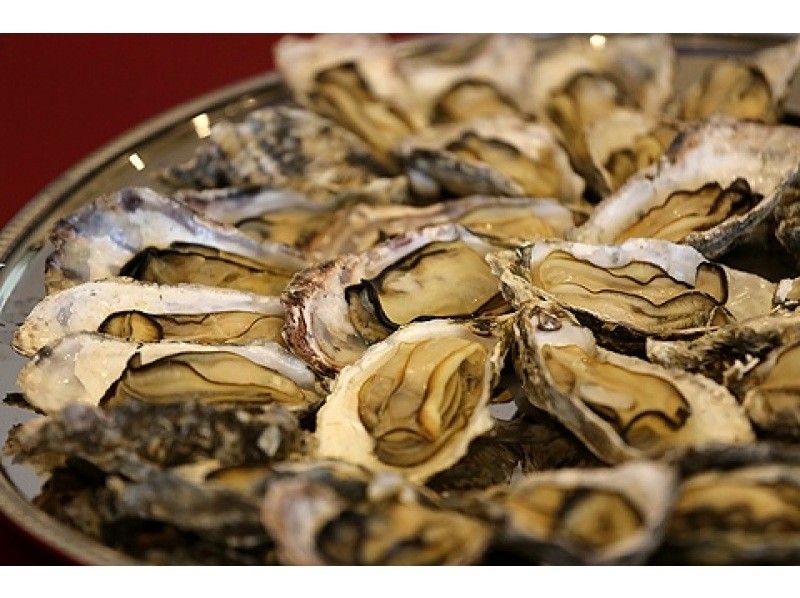 [Wakayama, Innan] [Oyster Q-ya] Oyster lovers can't resist♪ 120-minute all-you-can-eat grilled oysters, steamed oysters, and hotpot + 2 drinks included planの紹介画像