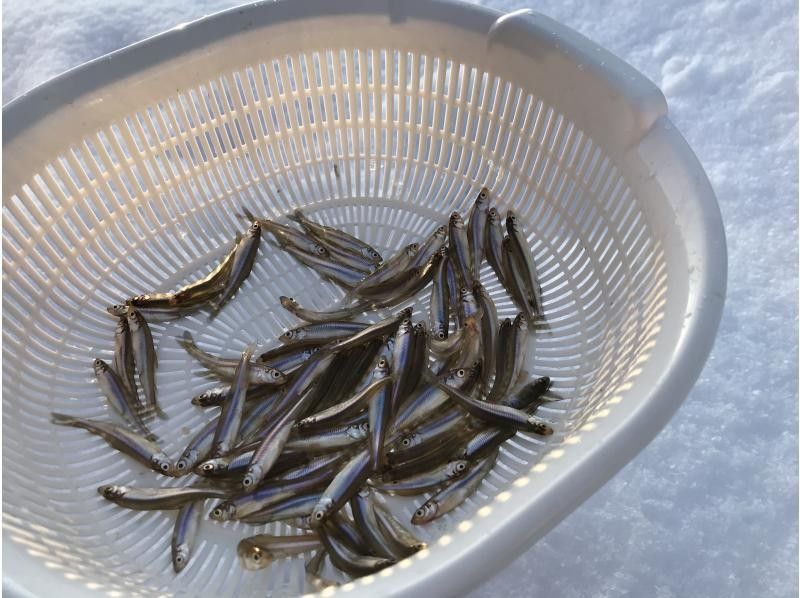 [Hokkaido / Sapporo suburbs] Shinshinotsu Shinotsu Hunan fishing ground gathering! Sapporo suburbs economy smelt fishing experience half-day tour (tent fishing with stove, light guide plan)の紹介画像