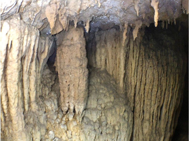 【石垣島】超探検！（ゴールデンケイブ+ジャングル迷路+滝壺）1億年の海底洞窟へ！　駐車場・施設・シャワー無料　GJTの紹介画像