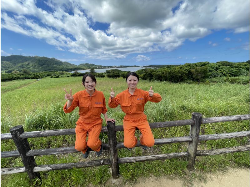 【石垣島】超探検！（ゴールデンケイブ+ジャングル迷路+滝壺）1億年の海底洞窟へ！駐車場・シャワー無料　GJTの紹介画像