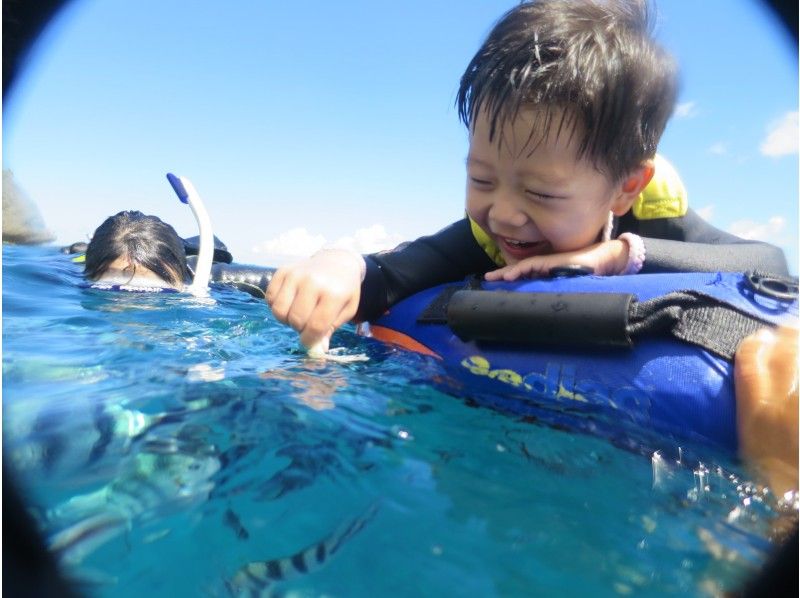 【機率高，因為是船，方便帶孩子】1歲以上的孩子可以玩的藍洞浮潛 | 附高品質照片和影片 | 附贈餵魚 |の紹介画像