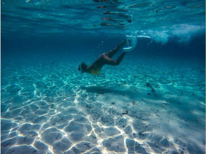  [沖縄・宮古島/伊良部島]シュノーケル・スキンダイビング 1ポイント完全貸し切り！初心者歓迎！の紹介画像