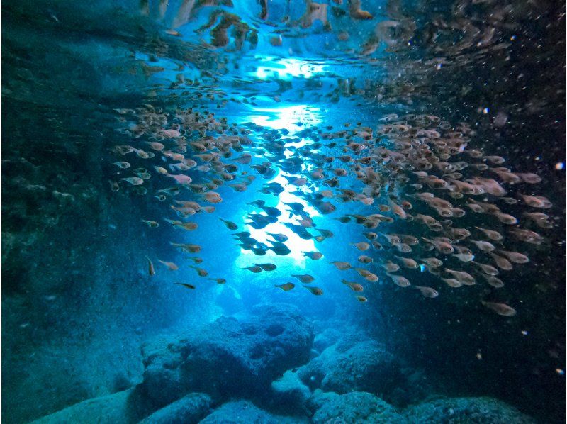  [沖縄・宮古島/伊良部島]シュノーケル・スキンダイビング 1ポイント完全貸し切り！初心者歓迎！の紹介画像