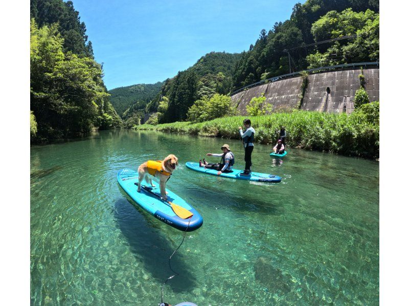 【高知・仁淀川】仁淀ブルーに1番近い場所でSUP～女子旅にオススメ！！にこ淵まで35分。有資格インストラクターで安心。ドッグSUP対応店。の紹介画像