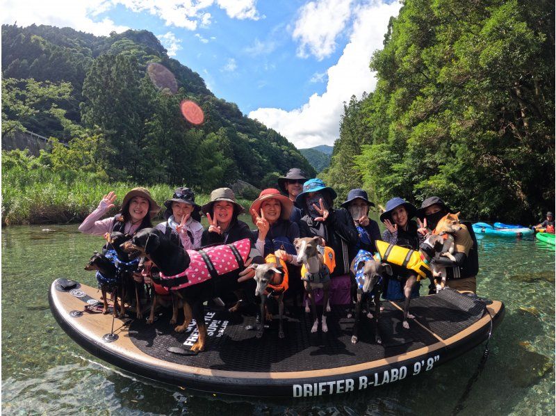 【高知・仁淀川】仁淀ブルーに1番近い場所でSUP、にこ淵まで35分。女子旅にオススメ!!有資格インストラクターで安心。ドッグSUP対応店。の紹介画像