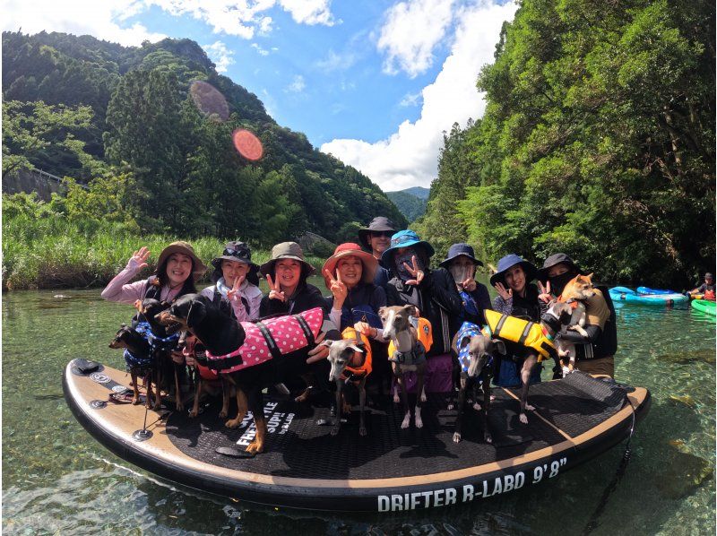 【高知・仁淀川】仁淀ブルーに1番近い場所でSUP～女子旅にオススメ！！。スタッフ全員が有資格インストラクター。ドッグSUP対応店。の紹介画像