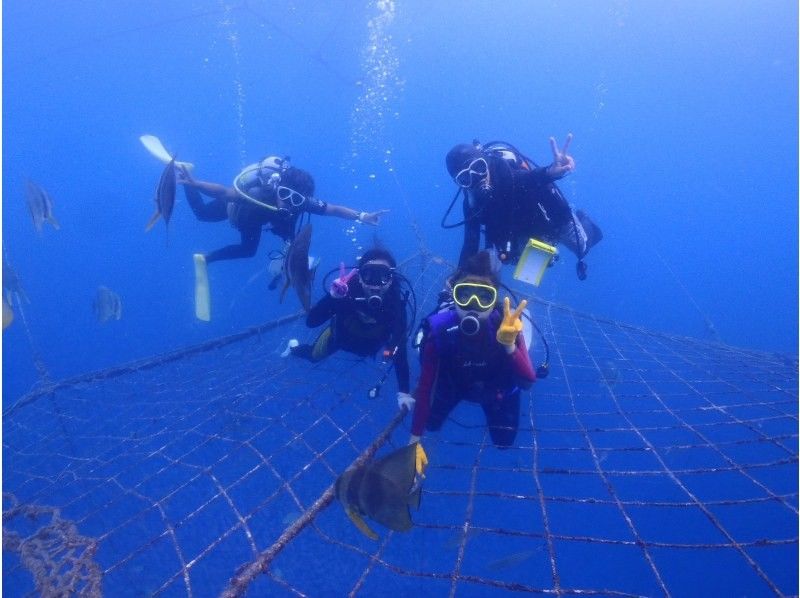 【ジンベイザメ・沖縄本島・読谷村】器材無料レンタルの大興奮ジンベイザメファンダイビング！！写真、動画無制限撮影も無料プレゼント！！の紹介画像