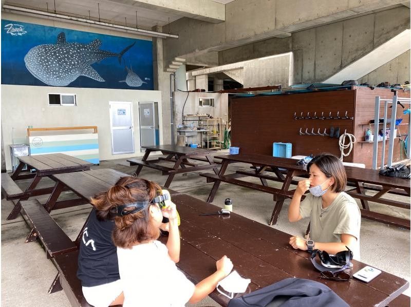 【ジンベイザメ・沖縄本島・読谷村】器材無料レンタルの大興奮ジンベイザメファンダイビング！！写真、動画無制限撮影も無料プレゼント！！の紹介画像