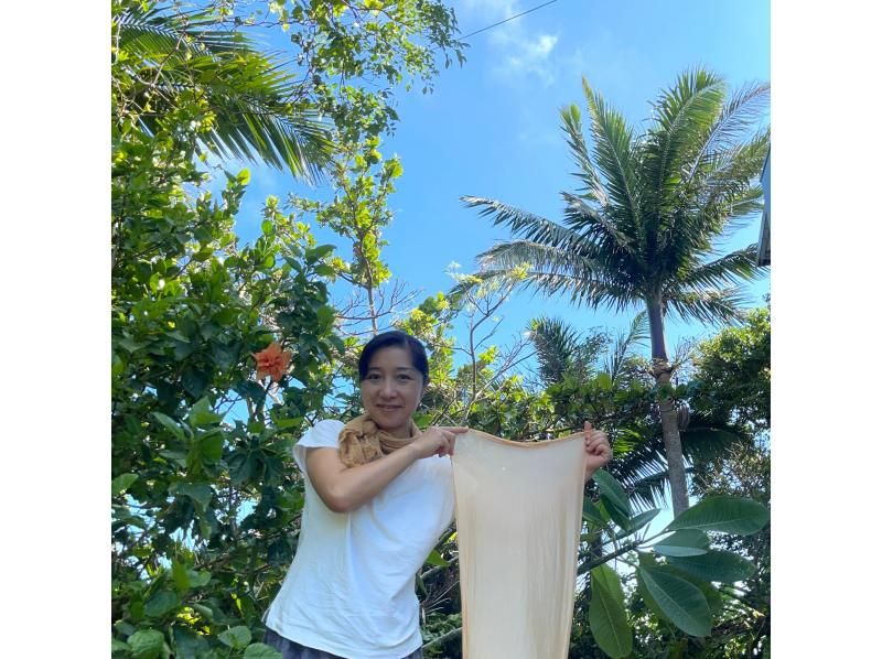 【沖縄・石垣島】島の植物「月桃」で草木染を体験しよう！の紹介画像