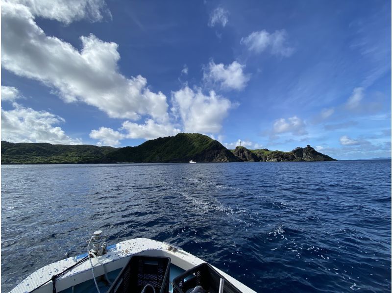 釣り船一日チャーター！プランは自由自在！家族と恋人と友人と気ままに釣りを楽しもう！【一日コース】の紹介画像