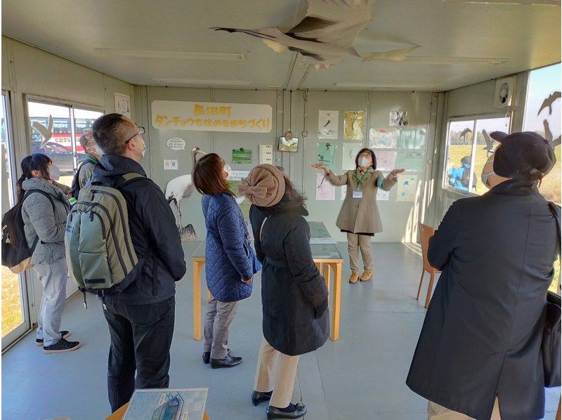 [北海道長沼町]在日本鶴撫養孩子的舞鶴遊樂場進行自然觀察の紹介画像