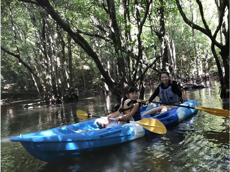 [Okinawa/Iriomote Island] Half-day Nakama River canoe tour | Mangrove | Canoe experience! (Afternoon session)の紹介画像