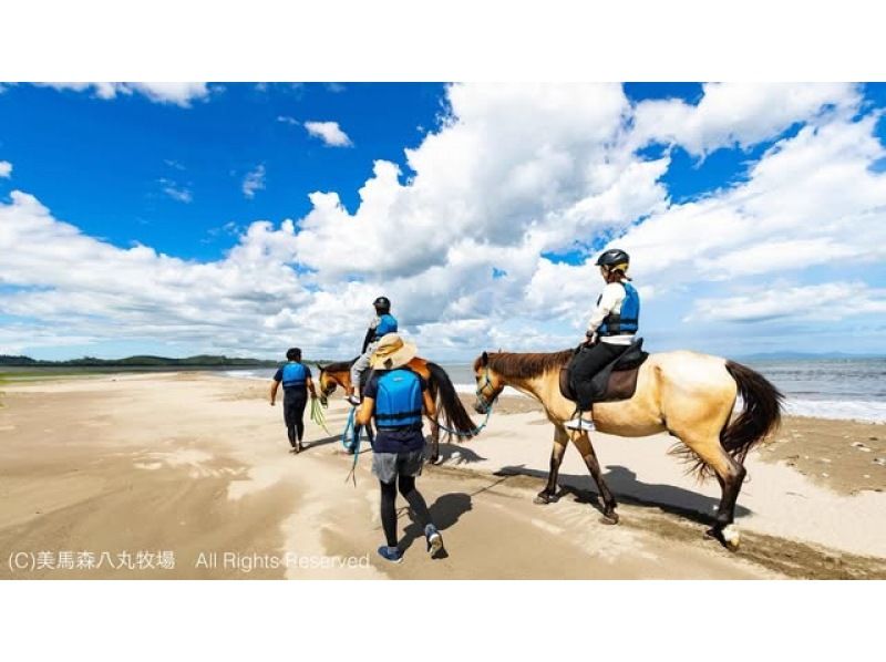 【宮城・奥松島】 オーシャンライディング 海辺での乗馬体験＊初めての方におすすめ＊の紹介画像