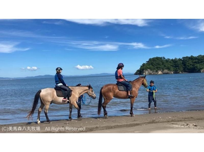 【宮城・奥松島】 オーシャンライディング 海辺での乗馬体験＊初めての方におすすめ＊の紹介画像