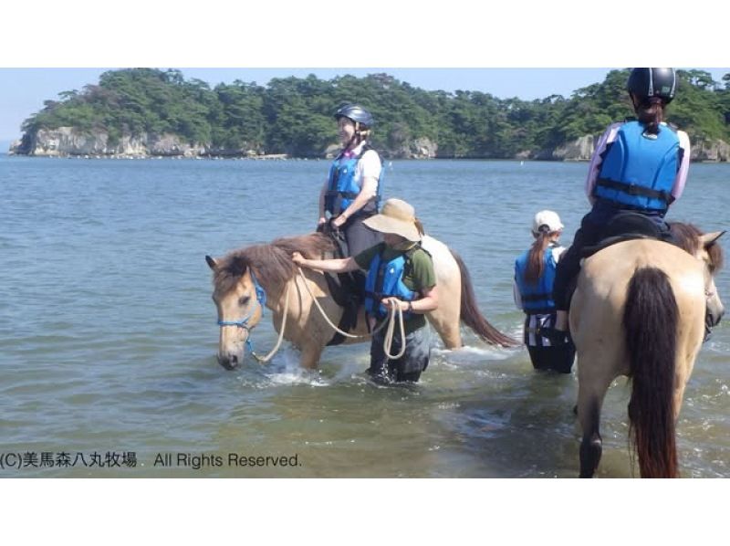 【宮城・奥松島】 オーシャンライディング 海辺での乗馬体験＊初めての方におすすめ＊の紹介画像