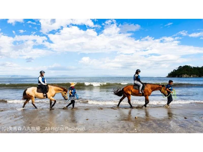 【宮城・奥松島】 オーシャンライディング 海辺での乗馬体験＊初めての方におすすめ＊の紹介画像