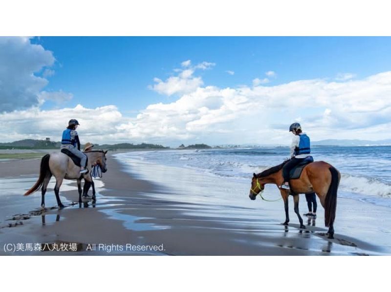 【宮城・奥松島】 オーシャンライディング 海辺での乗馬体験＊初めての方におすすめ＊の紹介画像