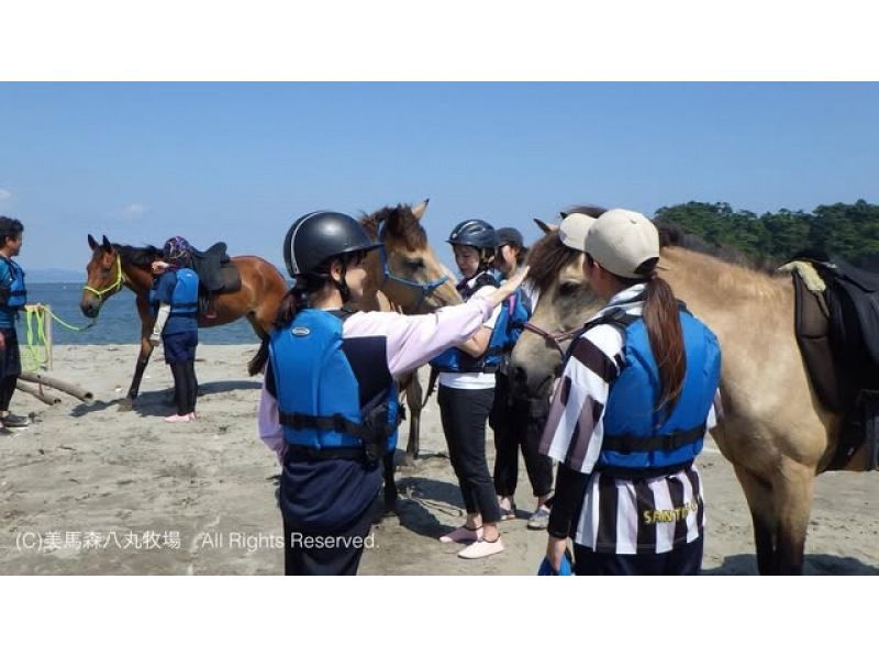 【宮城・奥松島】 オーシャンライディング 海辺での乗馬体験＊初めての方におすすめ＊の紹介画像