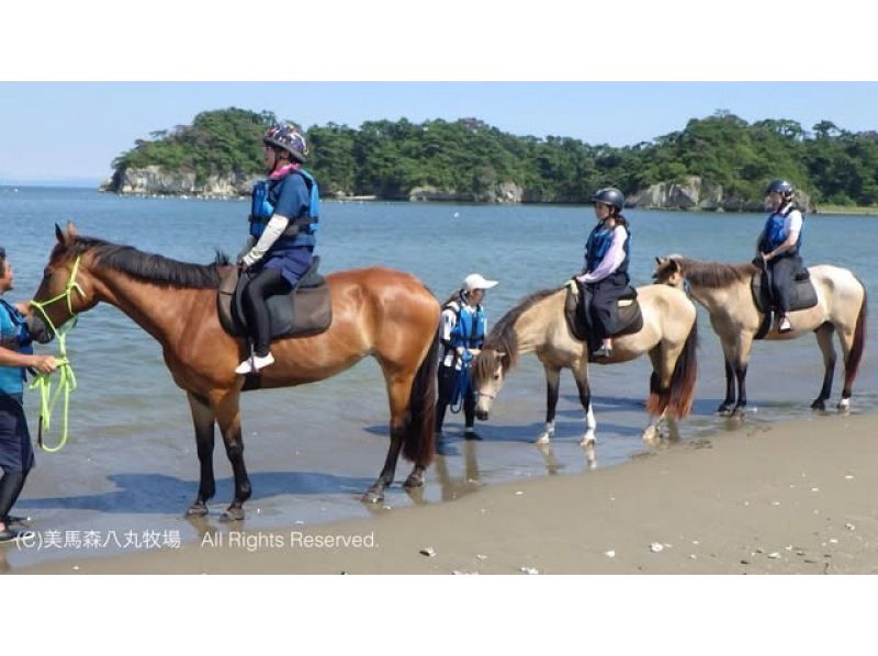 【宮城・奥松島】 オーシャンライディング 海辺での乗馬体験＊初めての方におすすめ＊の紹介画像