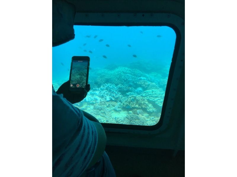 【那覇泊港発】水中観光船（グラスボート）ブルーカーボンクルーズの紹介画像