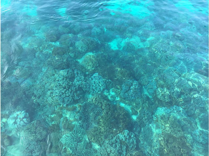 【那覇泊港発】水中観光船（グラスボート）ブルーカーボンクルーズの紹介画像