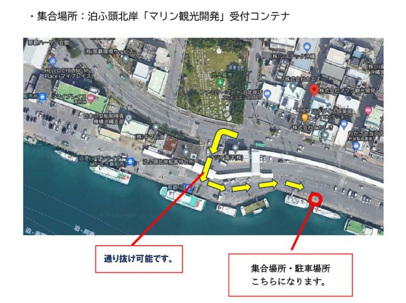 【那覇泊港発】水中観光船（グラスボート）ブルーカーボンクルーズの紹介画像