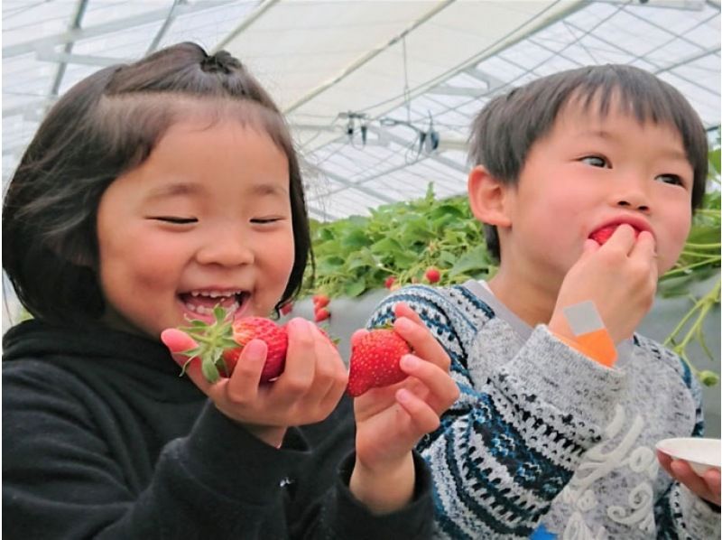 Strawberry picking clothes (children)