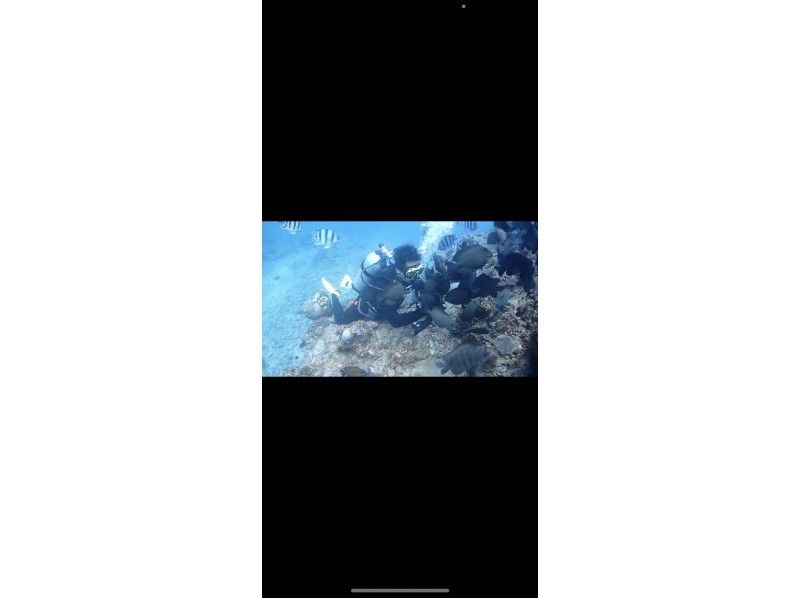 【沖繩/本島】無需執照！藍洞體驗潛水-歡迎初學者！の紹介画像