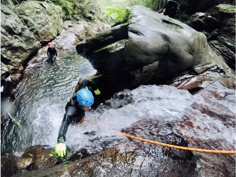 【名護】全力で遊ぶ！シャワークライミング&キャニオニングでスリルと感動を体感の紹介画像