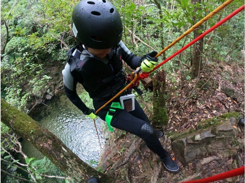 【名護】全力で遊ぶ！シャワークライミング&キャニオニングでスリルと感動を・ジンカコースの紹介画像