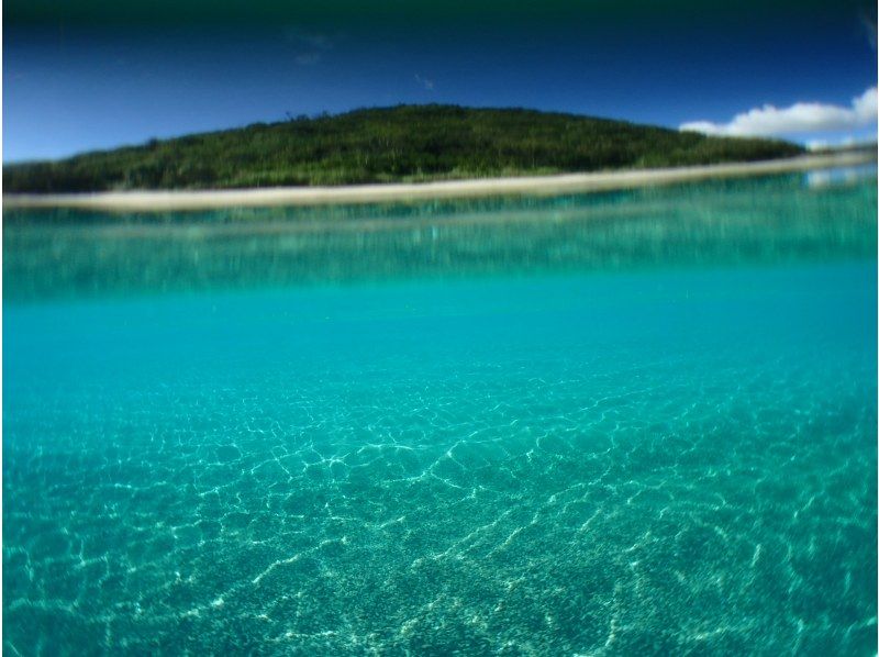 【鹿児島・奄美】ボートで行く秘密の無人浜を貸し切りで！！体験ダイビングの紹介画像
