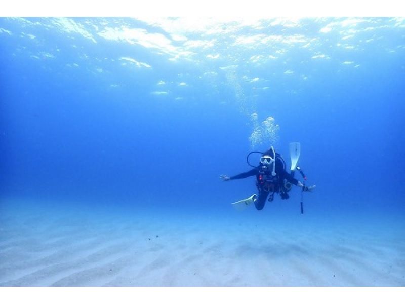 [Osaka / Umeda] Beginner diving license-OCEAN DIVER acquisition planの紹介画像