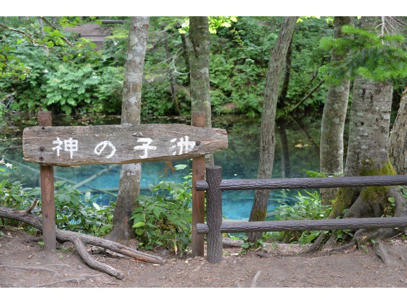 自由気ままに貸切タクシープラン【東北海道】の紹介画像