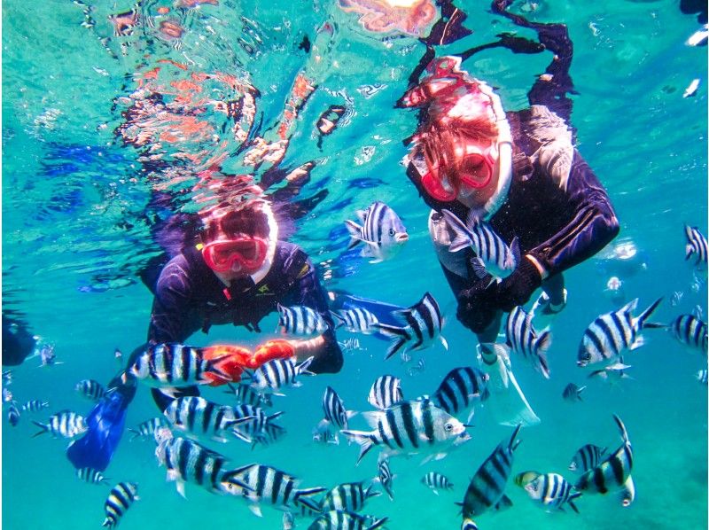  [ Okinawa・ Blue cave】 Cute fish and blue cave snorkel! Unlimited photos & baited with gifts and sand from stars の紹介画像