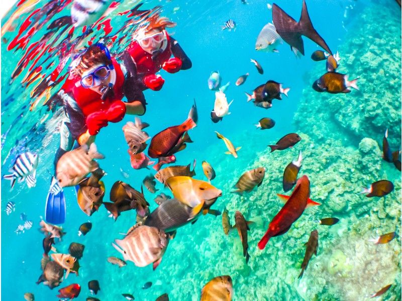  [ 沖縄 ·藍洞】可愛的魚和藍洞浮潛！無限的照片和誘餌與星星的禮物和沙子の紹介画像
